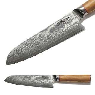 Japanese Paring Knife KA428F/10