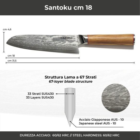 Ceppo magnetico completo di 5 coltelli giapponesi damasco e 1